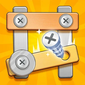 Screw Puzzle